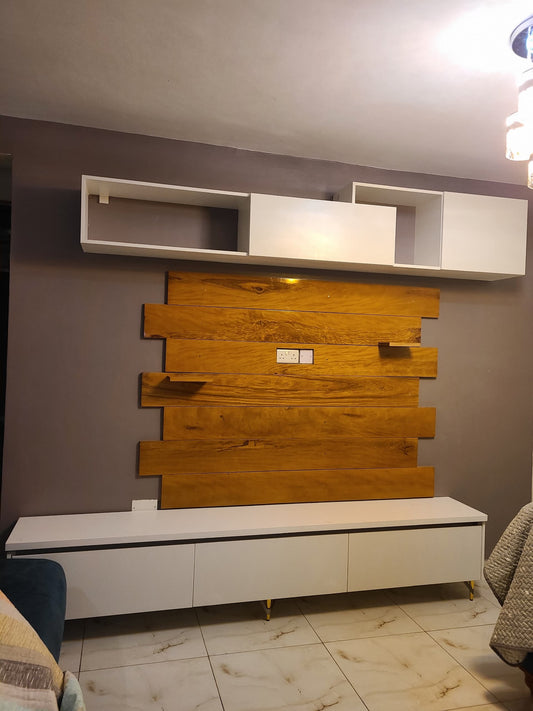 Modern Wall Unit